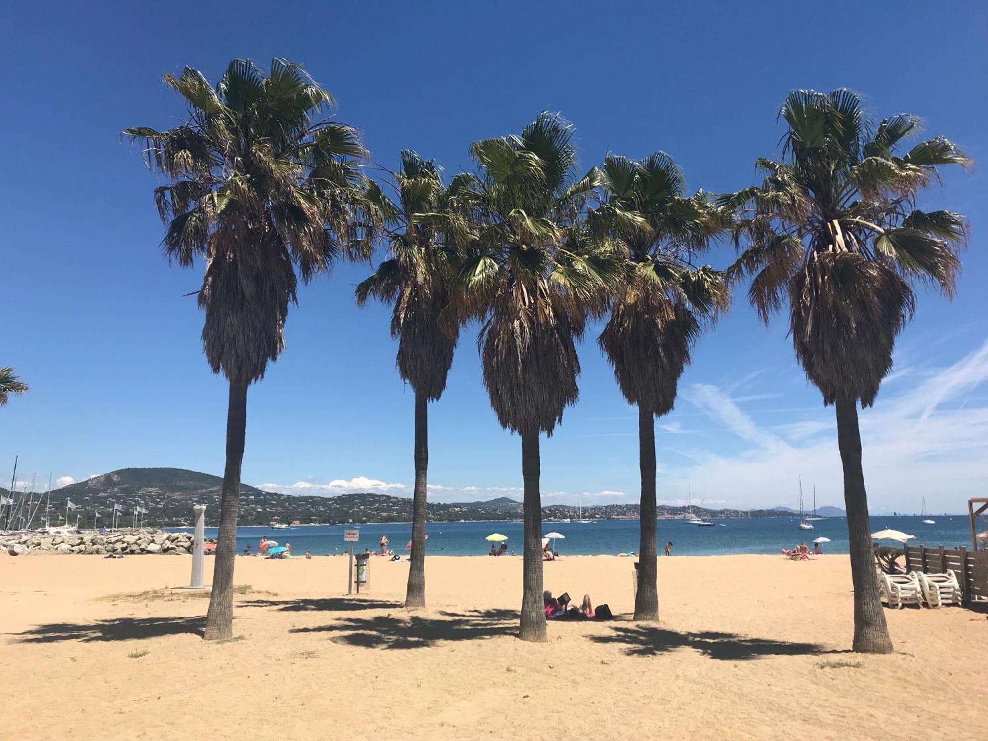 Gasyan - Golfe De St-tropez - Aves Acces Dans Avec Piscine Appartement *